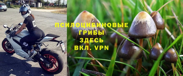 мет Аркадак