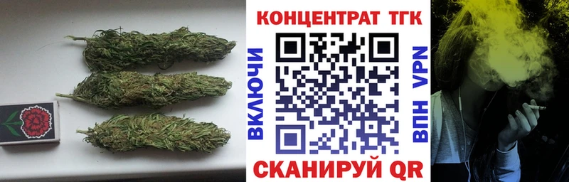 магазин    Белая Холуница  ТГК концентрат 
