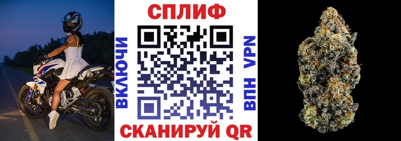 мориарти Telegram Белая Холуница МАРИХУАНА Bruce Banner