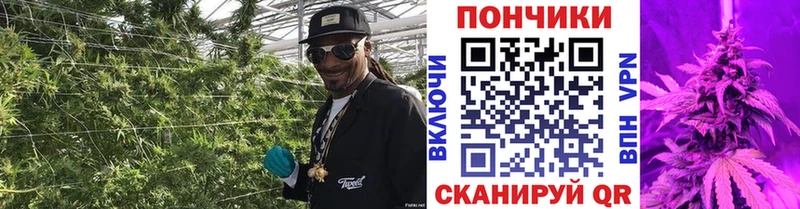 Бошки Шишки Ganja Белая Холуница